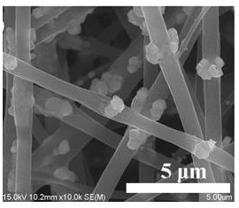 Flexible lithium/sodium ion battery negative electrode material and preparation method thereof