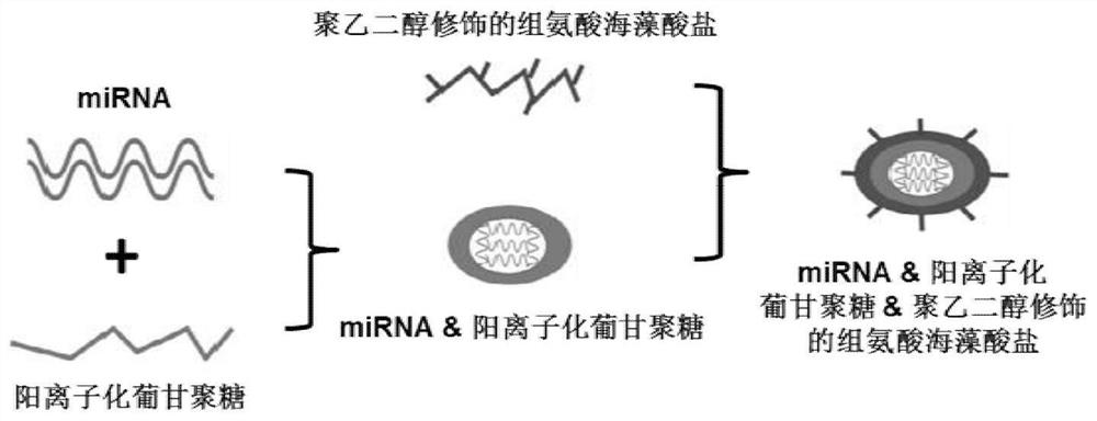 Drug delivery and application of tumor-inhibiting miRNAs by targeting tumor-associated macrophages