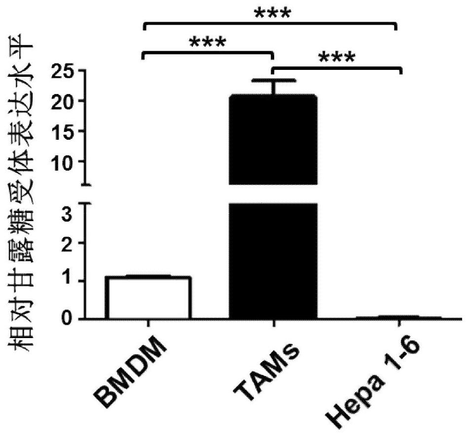 Drug delivery and application of tumor-inhibiting miRNAs by targeting tumor-associated macrophages