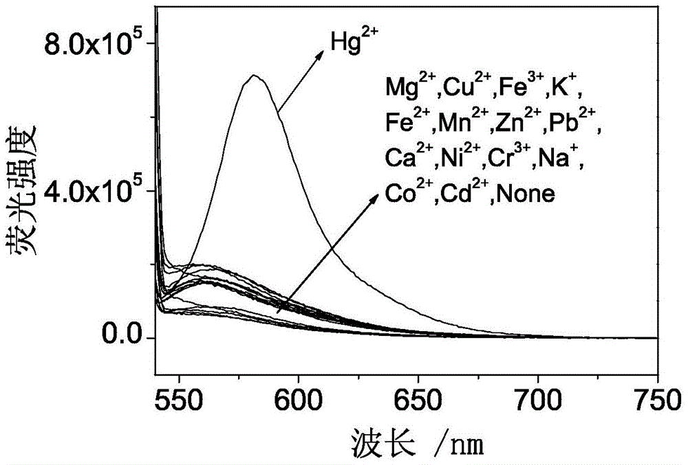 Fluorescence probe based on RB (rhodamine B), TEPA (tetraethylenepentamine) and PITC (phenyl isothiocyanate) as well as preparation method and application of fluorescence probe