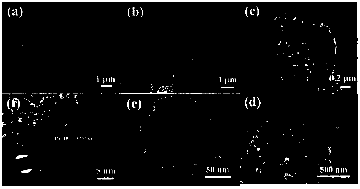 fe  <sub>2</sub> o  <sub>3</sub> /g-c  <sub>3</sub> no  <sub>4</sub> Composite system, preparation method and application