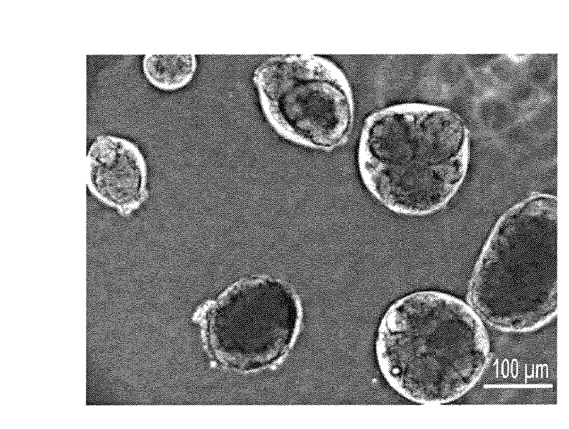 Conformal coating of cells for immunoisolation