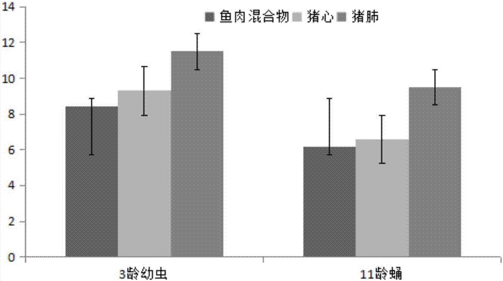 Method for producing Allium cepa L. seeds through flies