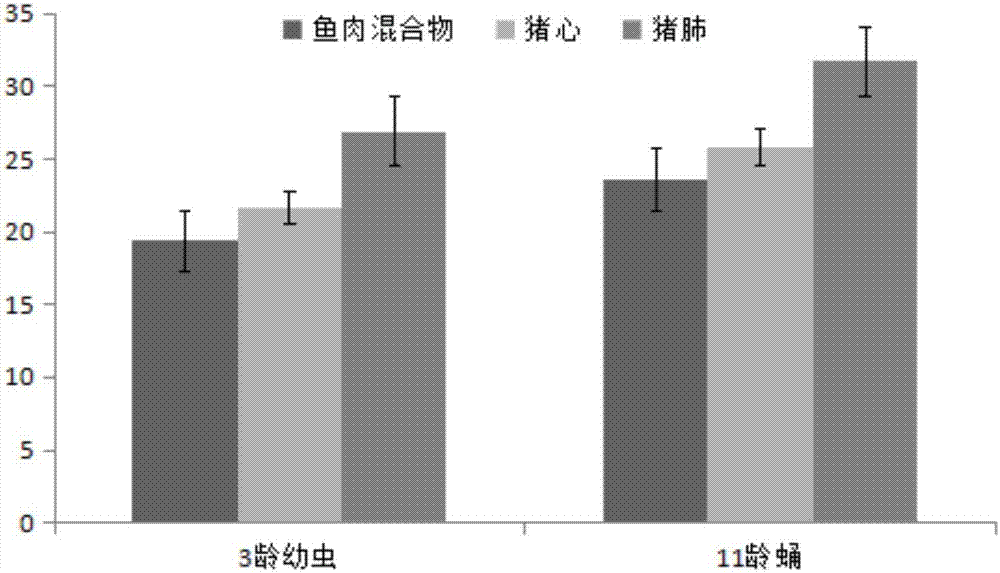 Method for producing Allium cepa L. seeds through flies