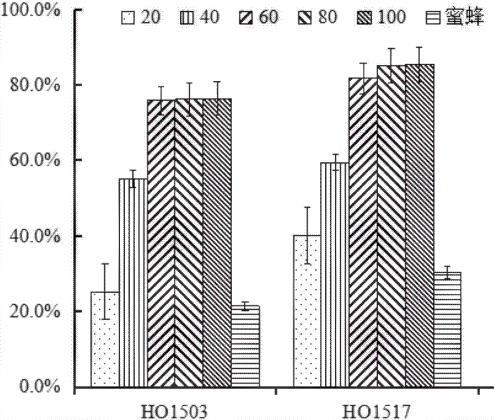 Method for producing Allium cepa L. seeds through flies