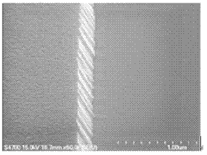 Method for fabricating an array substrate for a liquid crystal display device