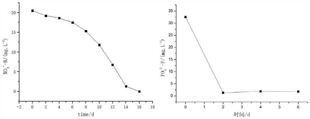 A light-weight slow-release denitrification and dephosphorization material and its preparation method and application