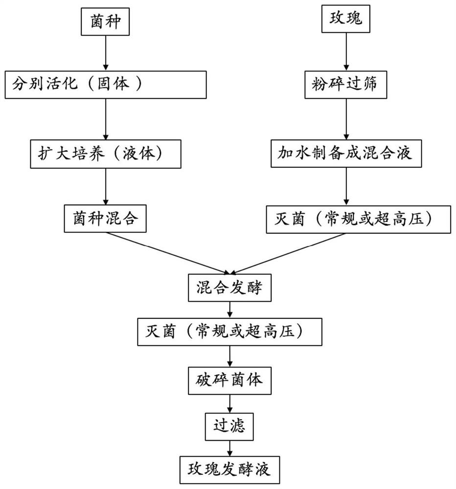 Whitening emulsion containing rose fermentation broth and preparation method of whitening emulsion