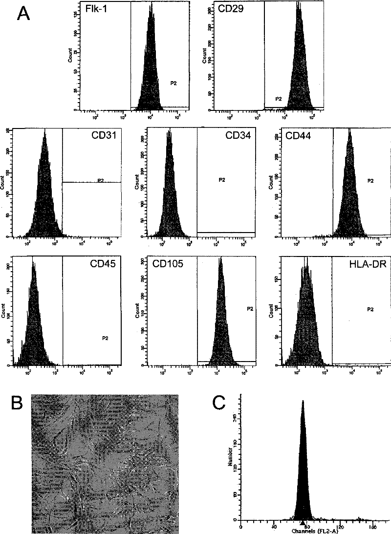 Method for isolated culture of human fat mesenchyma stem cell and special culture medium thereof