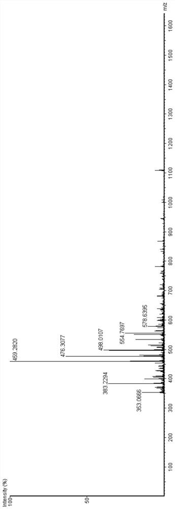 A kind of biologically active peptide rlafiahpklg and its preparation method and application