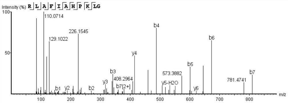 A kind of biologically active peptide rlafiahpklg and its preparation method and application