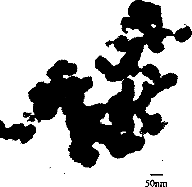 Method of preparing lithium niobate nanometer powder at low-temp by citric acid gel method