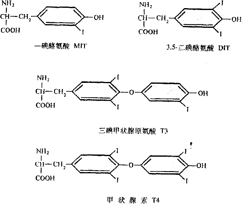 Method for extracting iodine-containing amino acid from fresh kelp