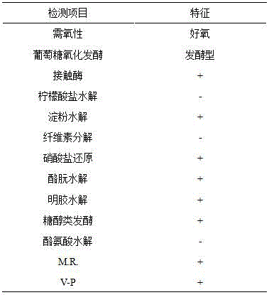 Biocontrol bacterial strain g68 for preventing and controlling plant diseases and preparation method and application thereof