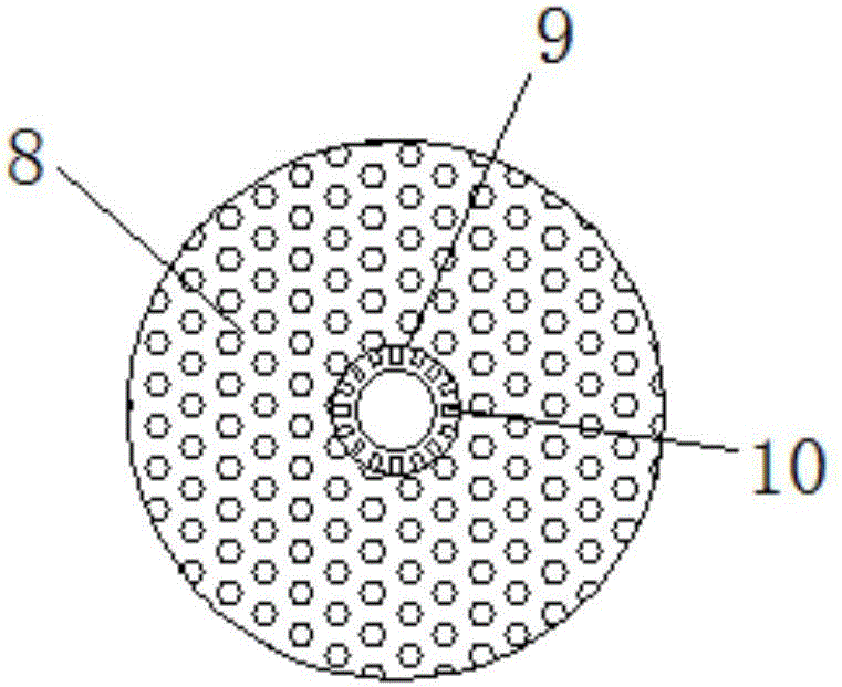 Rotary-type washing device for processing dandelion