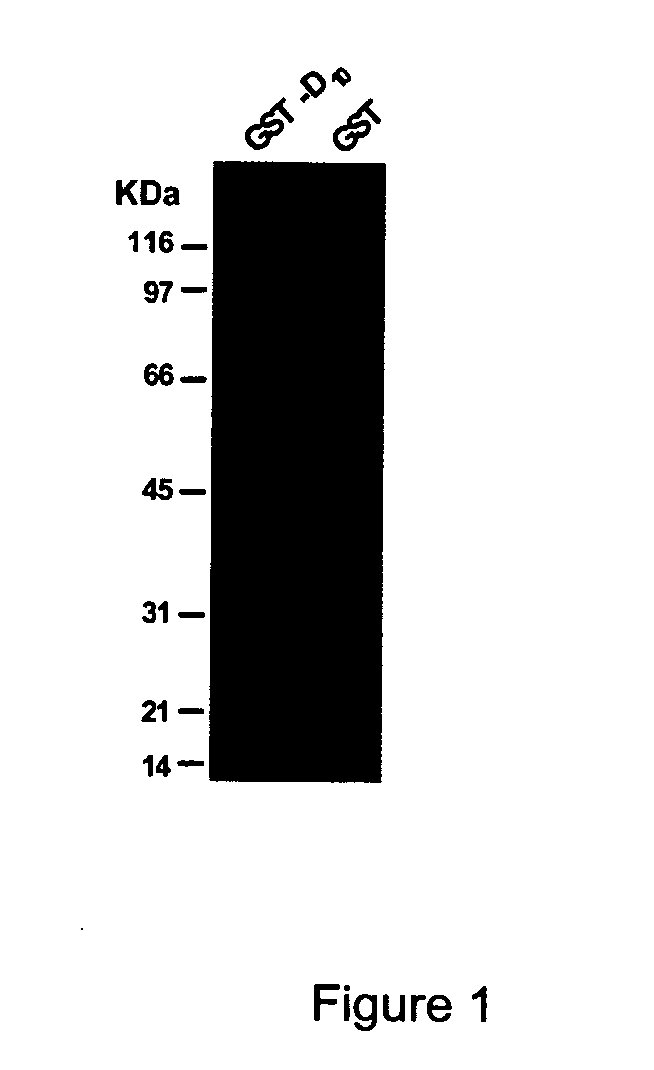 Bone delivery conjugates and method of using same to target proteins to bone