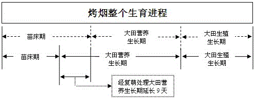 A method for improving the quality of tobacco leaves by moderately prolonging the vegetative growth period of flue-cured tobacco