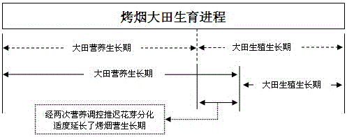 A method for improving the quality of tobacco leaves by moderately prolonging the vegetative growth period of flue-cured tobacco