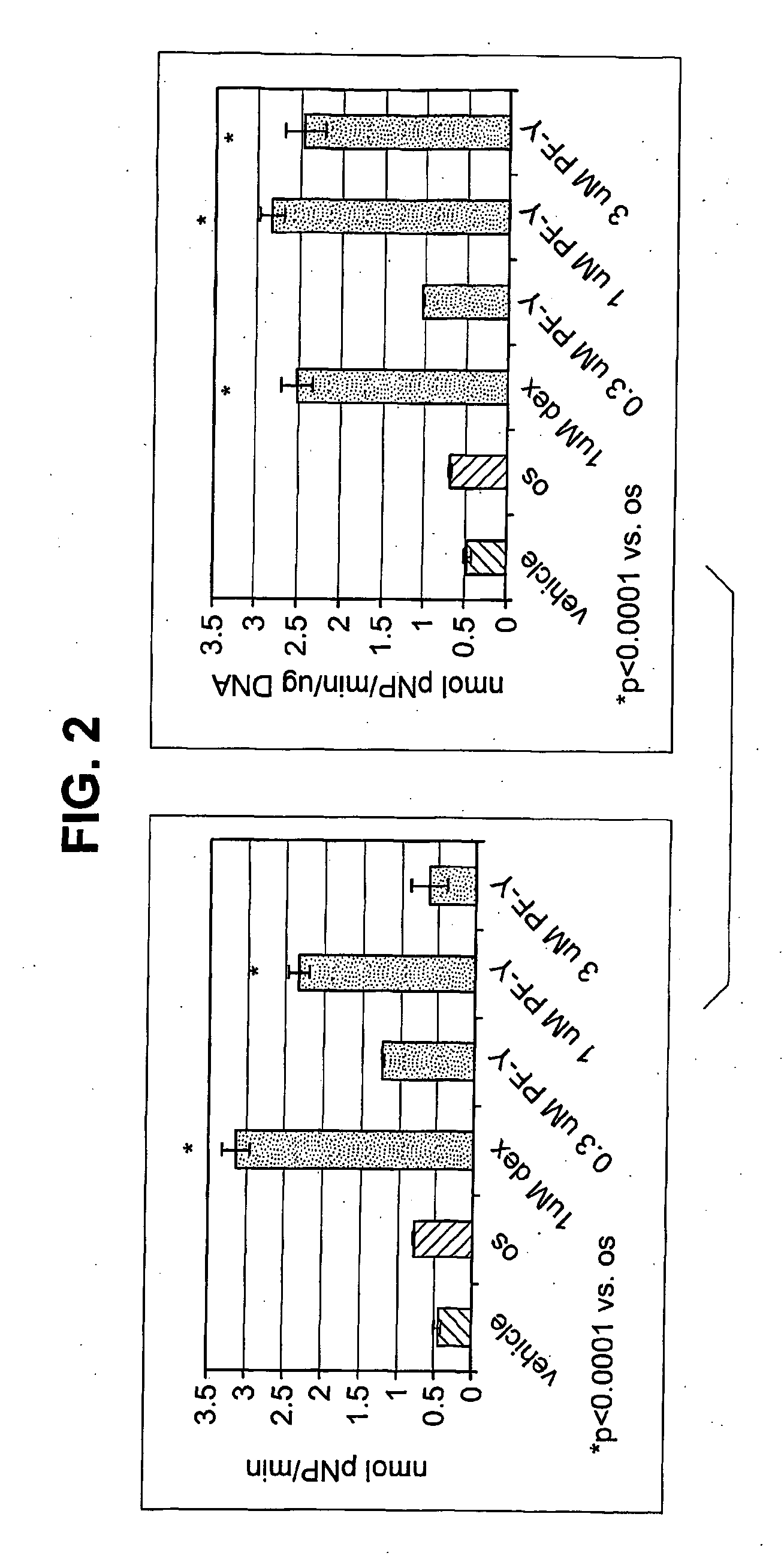 Methods for Augmenting Bone