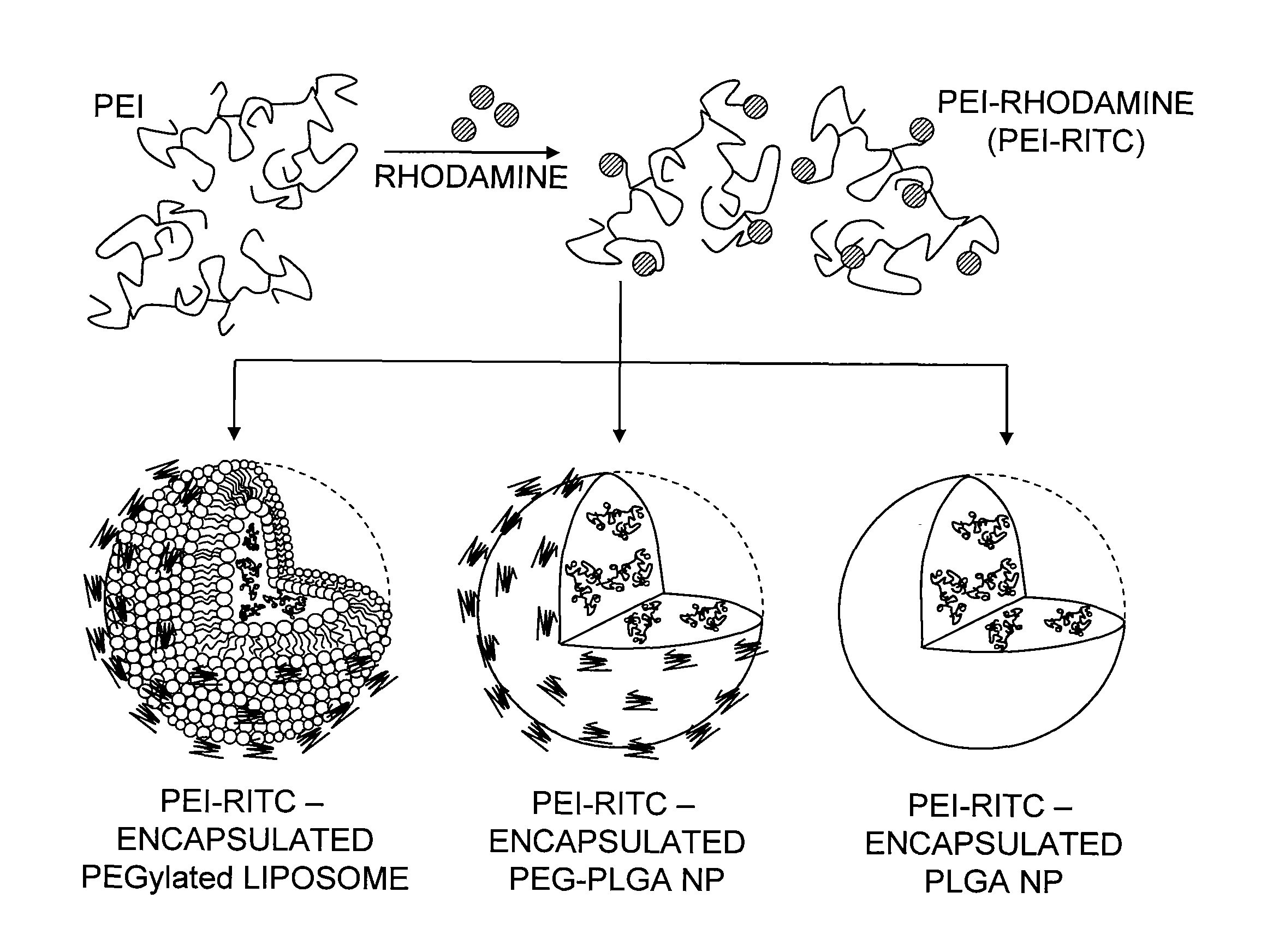 Nano-Hybrid Delivery System for Sequential Utilization of Passive and Active Targeting