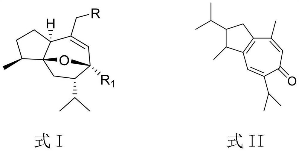 Curcumenol derivative, preparation method and application of curcumenol derivative in preparation of anti-inflammatory drugs