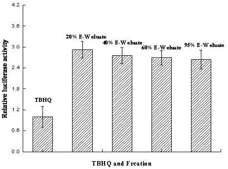 A pretreatment method for nucleoside components of Armillaria chrysanthemum fruiting bodies