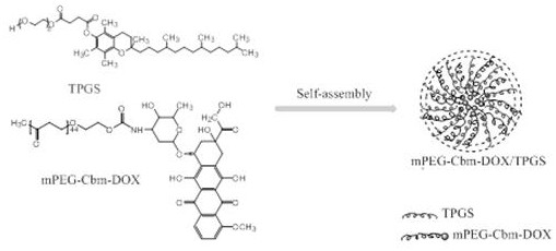 A kind of pH sensitive mixed micelles and its preparation method and application