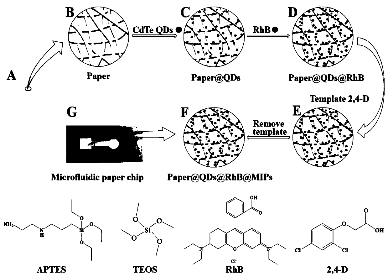 Polyester fiber membrane-based ratio type fluorescent paper chip as well as preparation method and application thereof