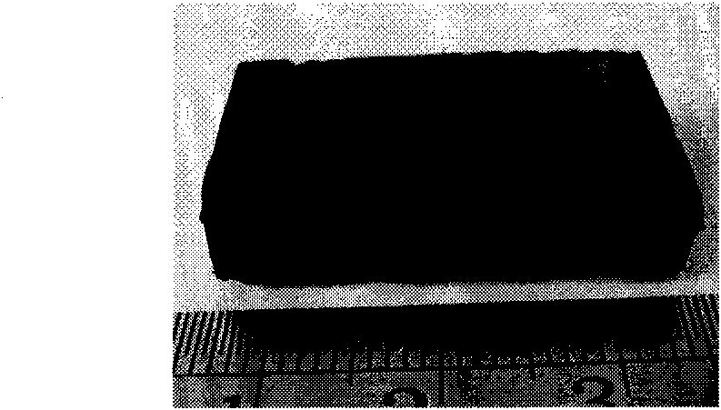 Carbon nanotube cotton and preparation method thereof