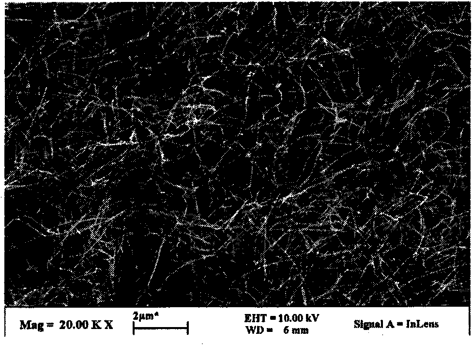 Carbon nanotube cotton and preparation method thereof