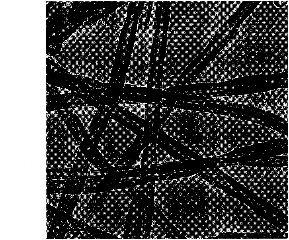 Carbon nanotube cotton and preparation method thereof