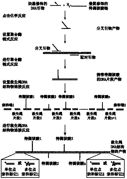 Method for detecting nucleic acid terminal structure based on single-molecule force spectroscopy