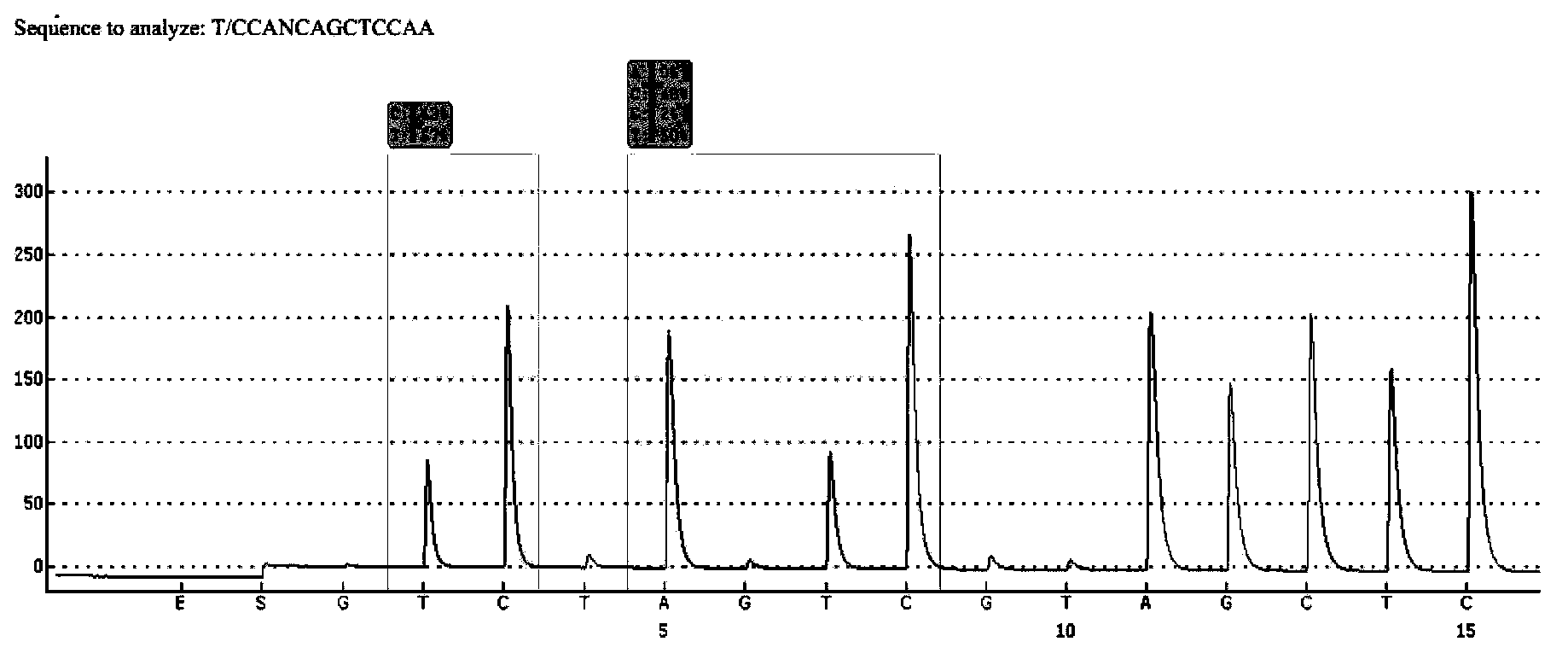 Sequencing primer for qualitative detection of KRAS genetic typing and kit thereof