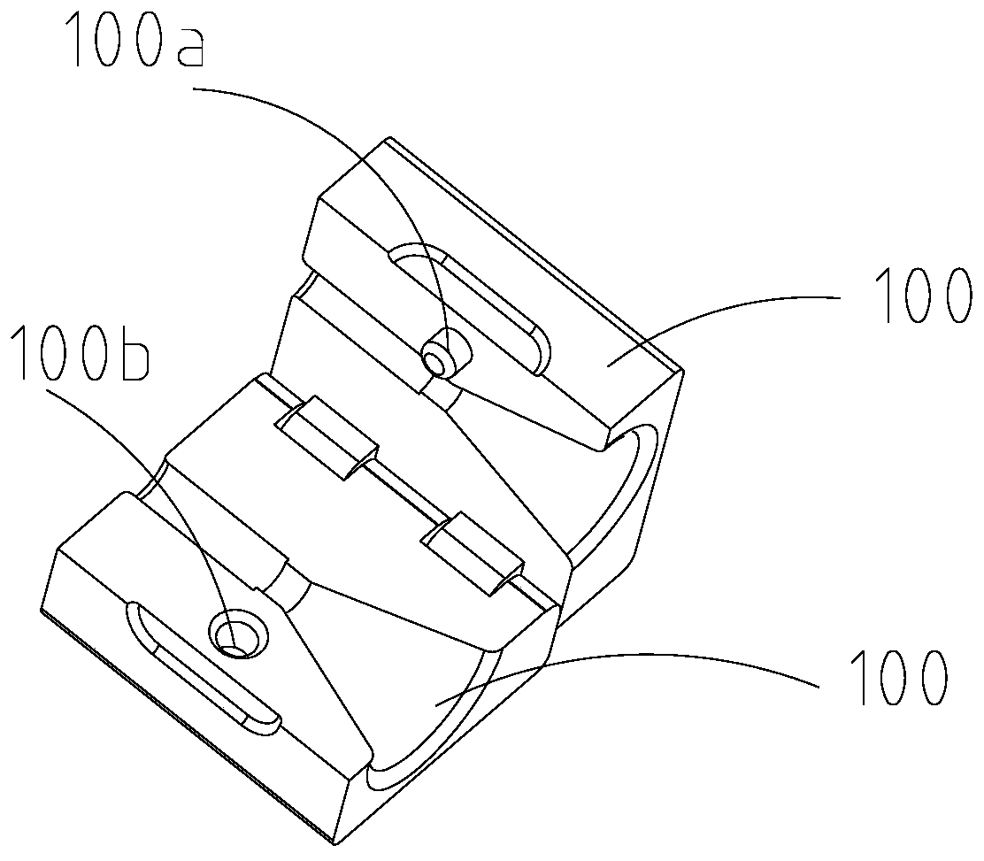 Auxiliary stent placement device and application method thereof