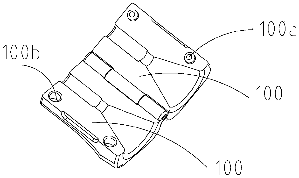 Auxiliary stent placement device and application method thereof