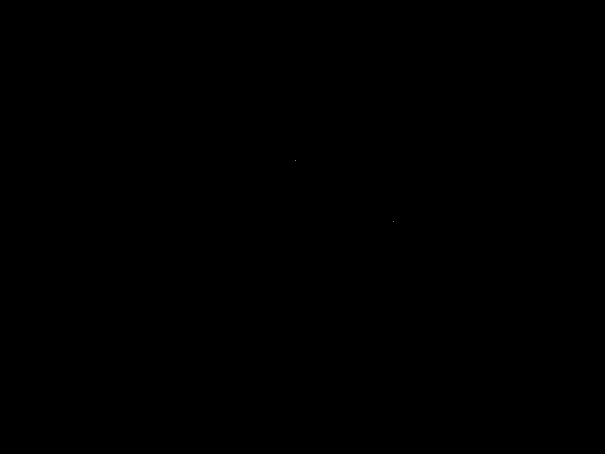 Actinoplanessp. strain and its use in preparation of fidaxomicin