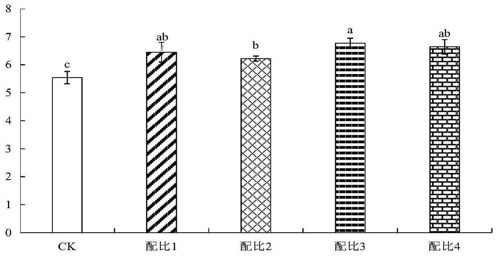 Biochar-based passivator for acid soil remediation and preparation method thereof