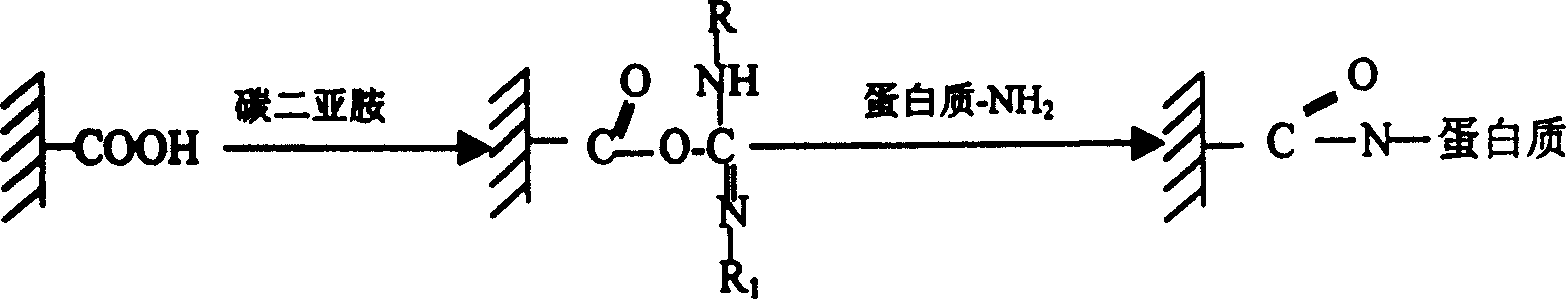 Preparation method of angiotensin converting enzyme inhibitor affinity column medium