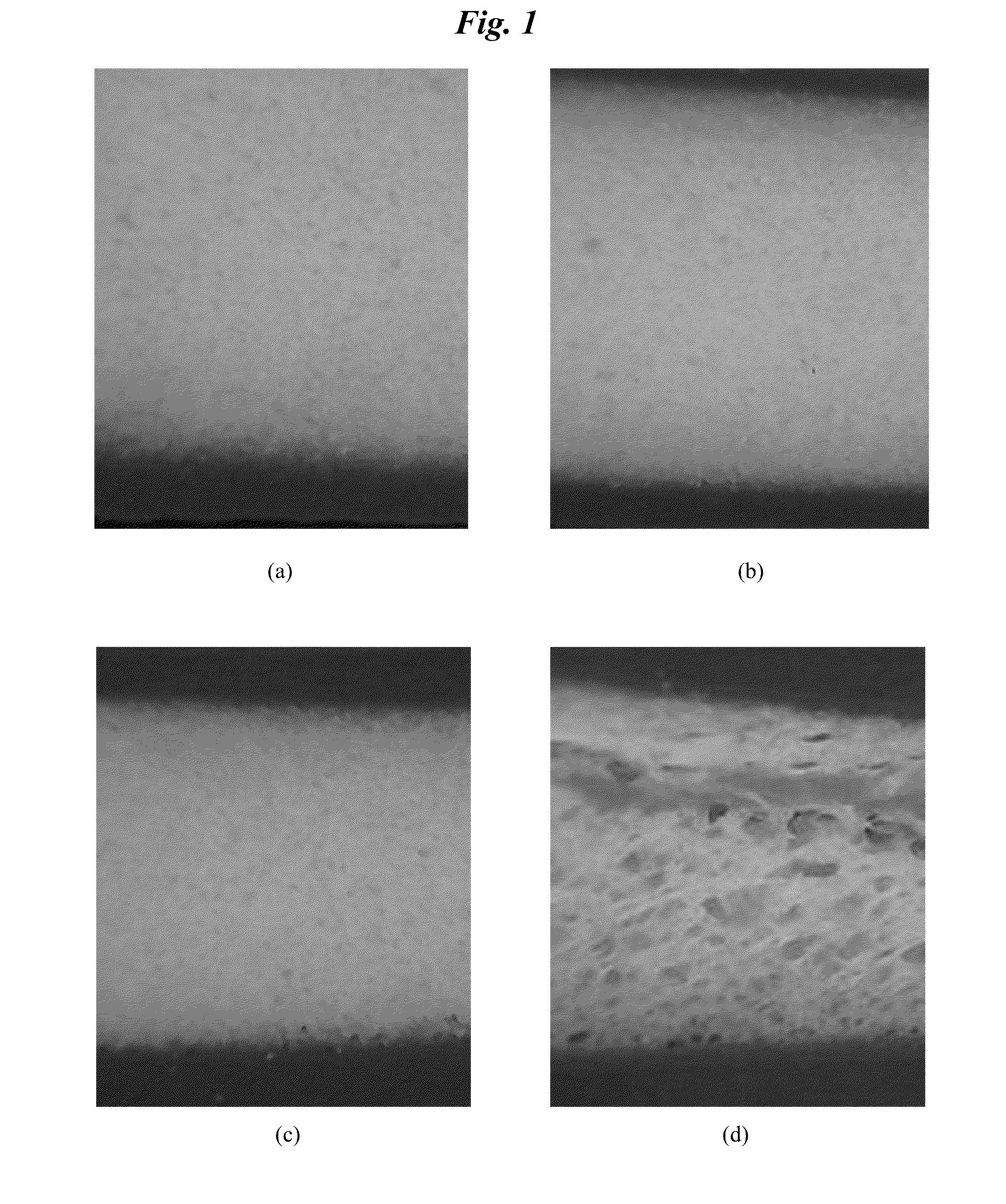 Composition, Foam and Article Made Therefrom