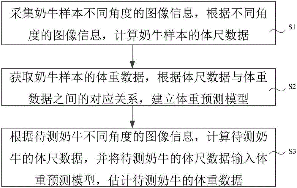 Cow shape measuring method and cow shape measuring system based on stereo vision technology