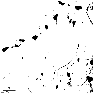 T91-steel ageing ranking method based on transmission electron microscope