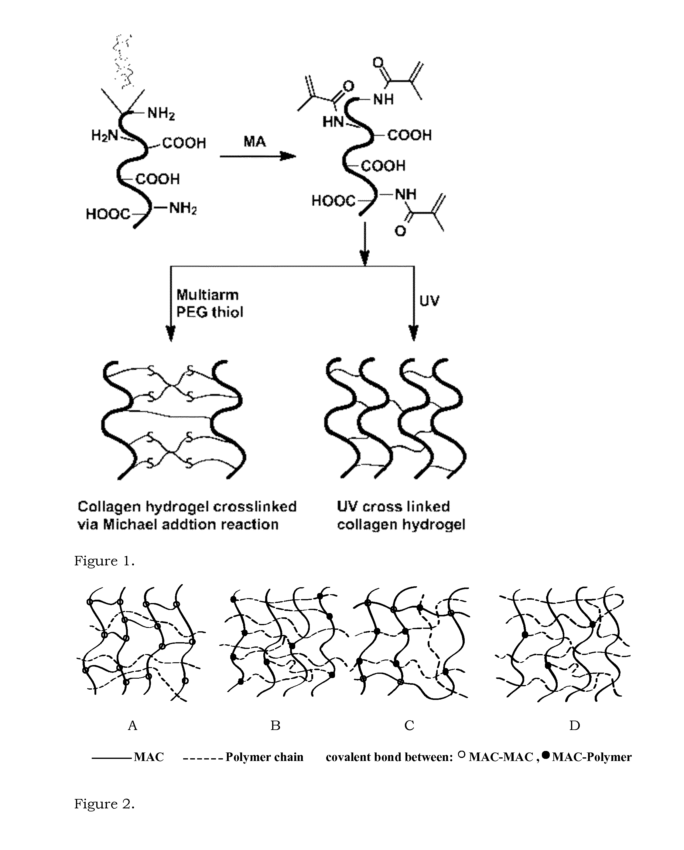 Transparent hydrogel and method of making the same from functionalized natural polymers