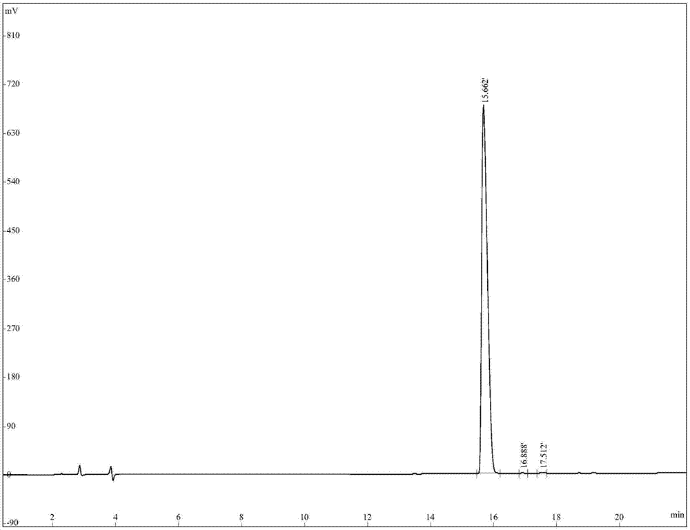 Fejervarya multistriata antioxidative peptide and gene and application thereof