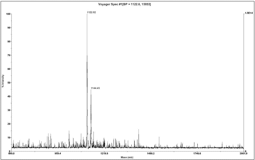 Fejervarya multistriata antioxidative peptide and gene and application thereof