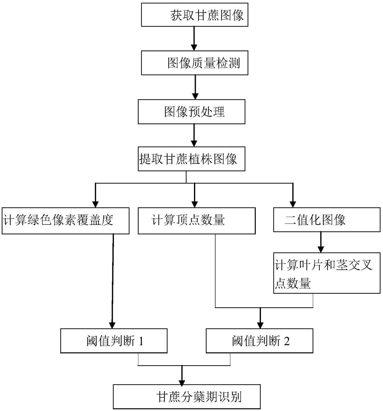 Automatic observation method of tillering stage of sugarcane