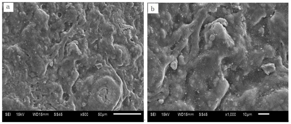 A fast adsorption and desorption adsorbent, preparation and application in lithium/rubidium adsorption