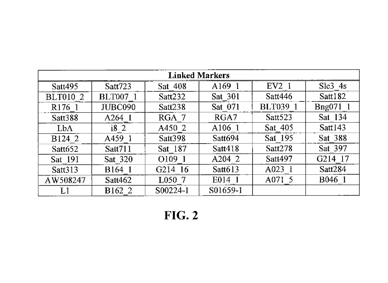 Polynucleotide and polypeptide sequences associated with herbicide tolerance