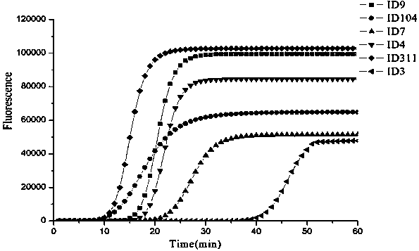 A primer for the detection of Bacillus subtilis by loop-mediated isothermal amplification and its application