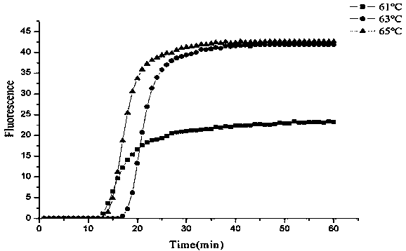 A primer for the detection of Bacillus subtilis by loop-mediated isothermal amplification and its application