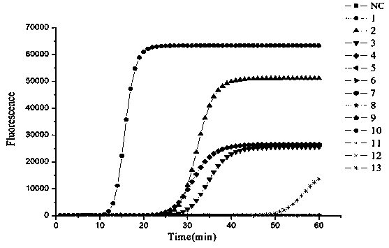 A primer for the detection of Bacillus subtilis by loop-mediated isothermal amplification and its application